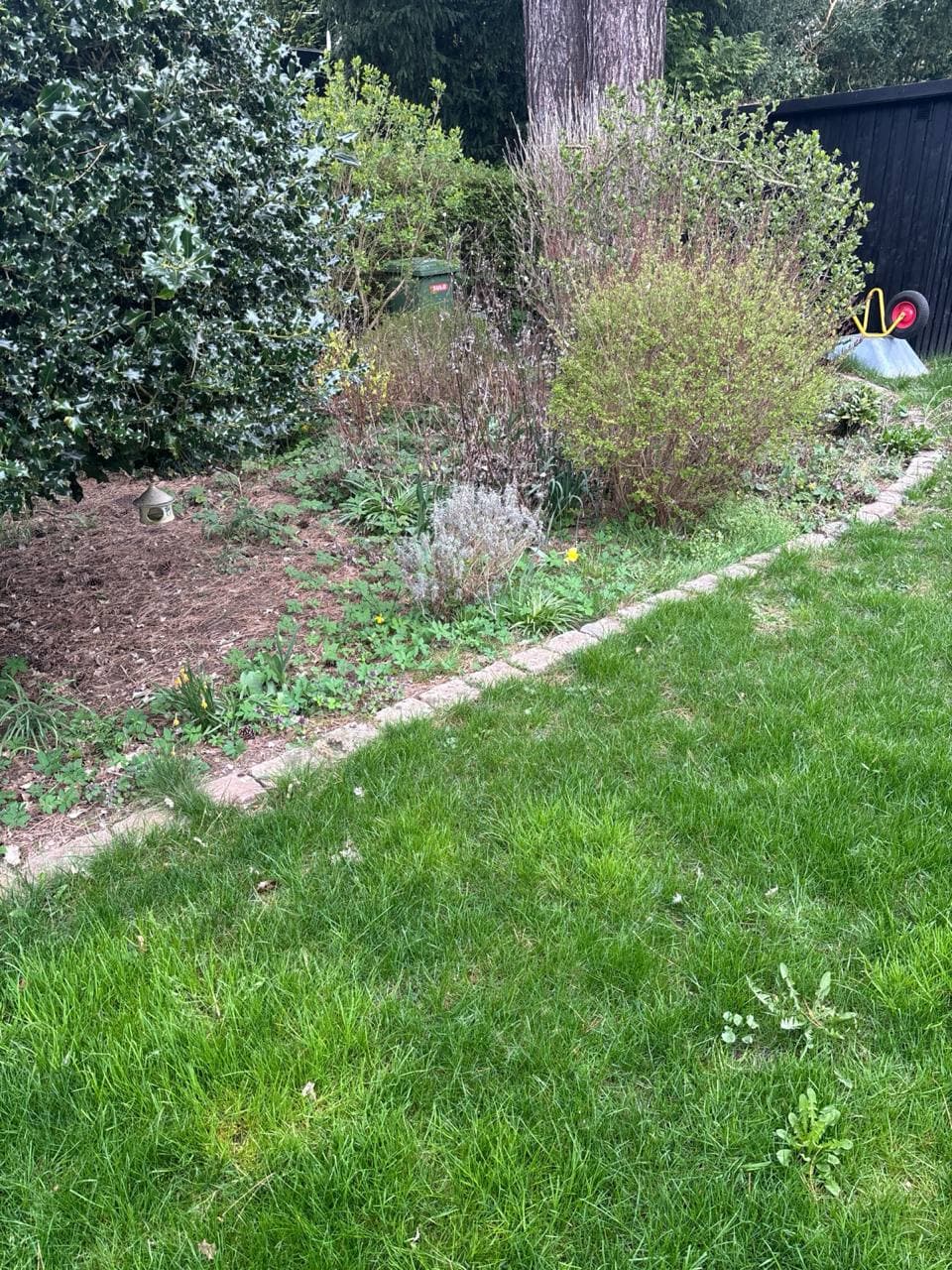 Plejet have med græsplæne og beplantning