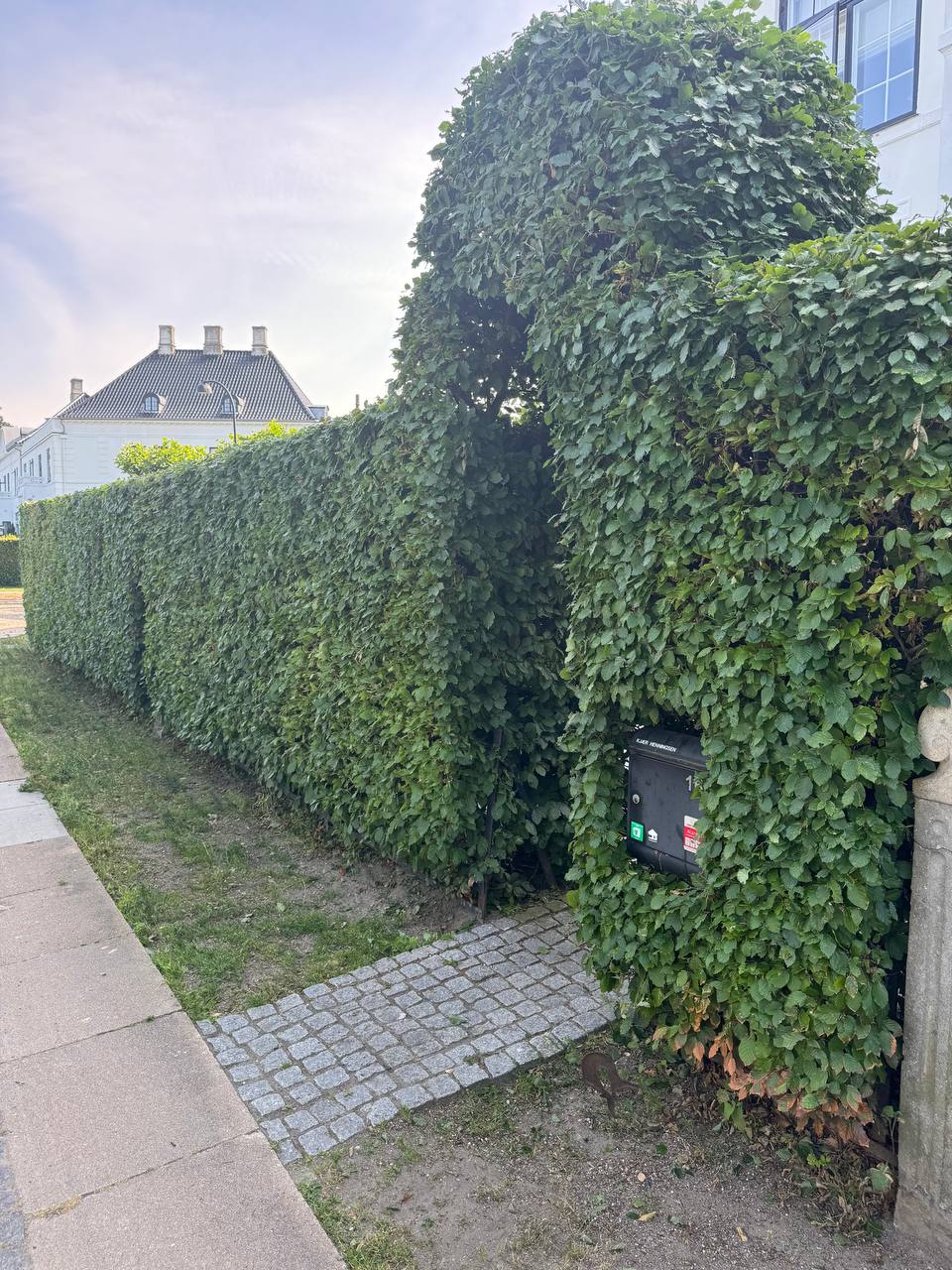 Terrasse i København